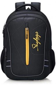 Skybags Geo 04 2.5 L Backpack(Black, Size - 170)